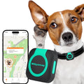 Woyamay Mini GPS Tracker for Dogs & Cats with Health Monitor