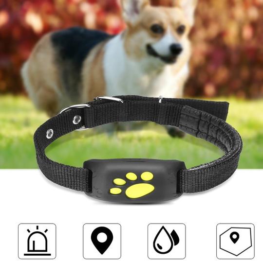 GPS Pet Tracker features